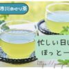 忙しい日にも、ほっと一息。静岡・市川のぐり茶